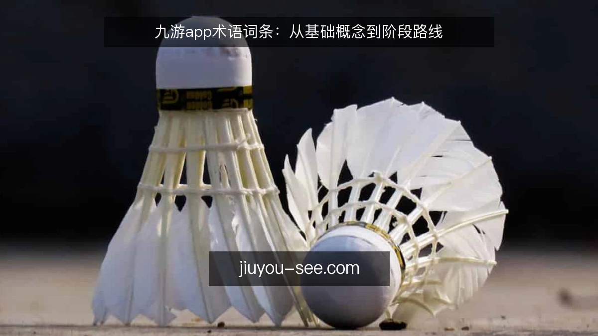 九游app术语词条:从基础概念到阶段路线