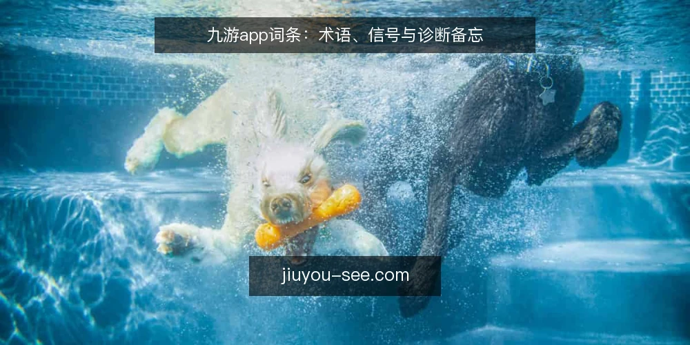 九游app词条:术语、信号与诊断备忘 — 术语界定:九游app是什么 配图