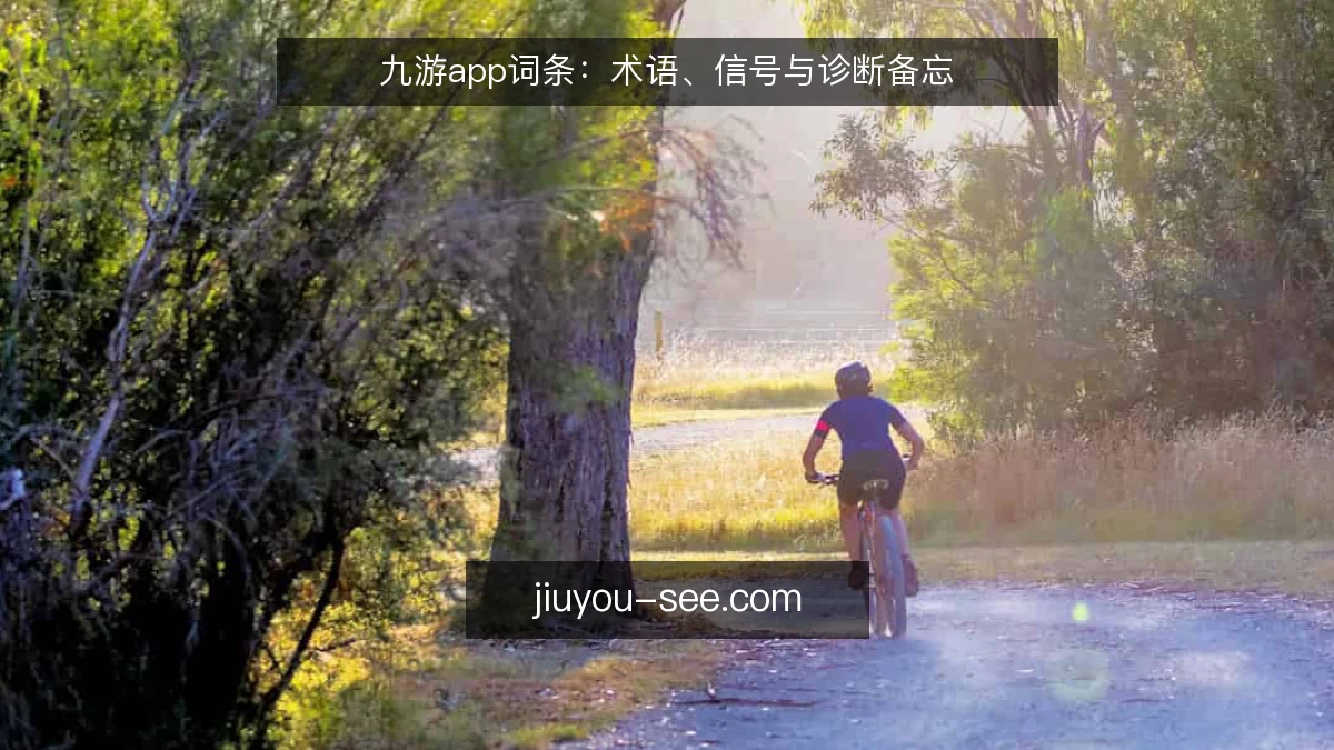 九游app词条:术语、信号与诊断备忘